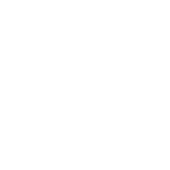 solidaridad